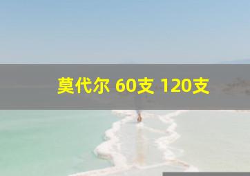 莫代尔 60支 120支